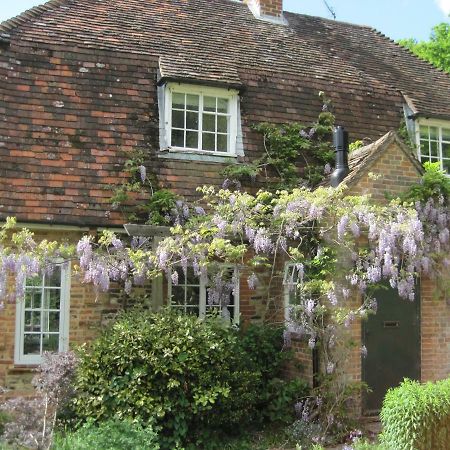 Tilford Mill Cottage Farnham  Eksteriør billede