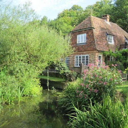 Tilford Mill Cottage Farnham  Eksteriør billede