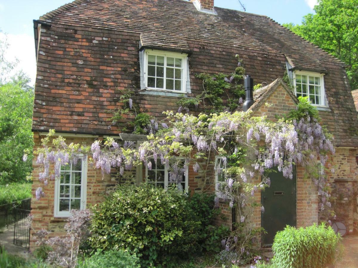 Tilford Mill Cottage Farnham  Eksteriør billede